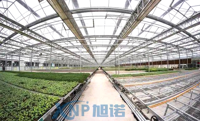 蔬菜温室大棚可以使用91好色先生TV做骨架吗.jpg